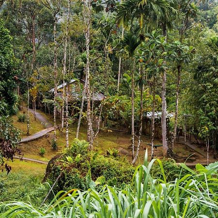 Rain Forest Inn Ringlet Екстер'єр фото