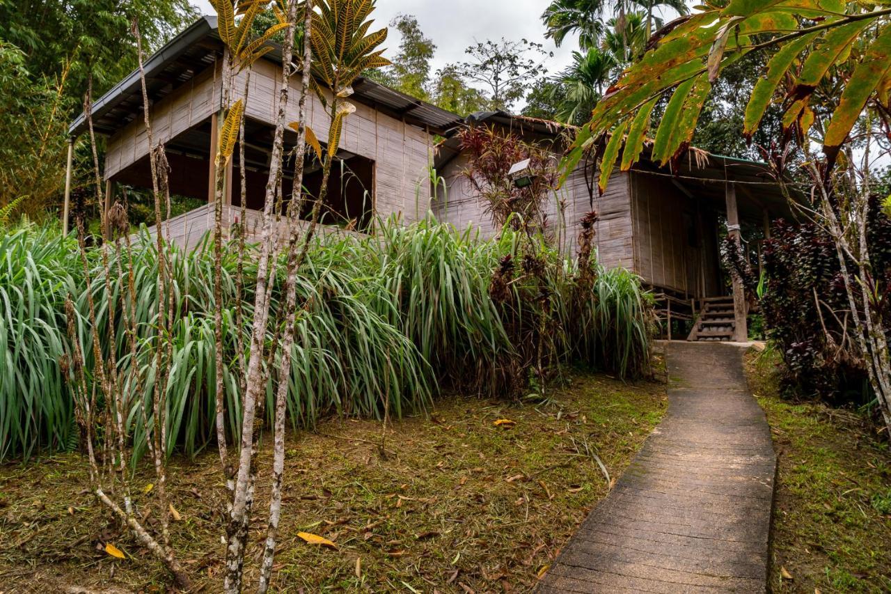 Rain Forest Inn Ringlet Екстер'єр фото